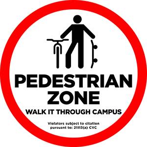 Walk Zone Ground Detail