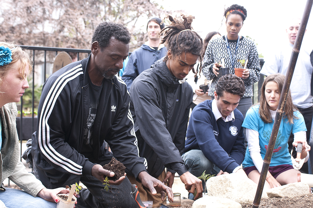 Group of people planting seedlings