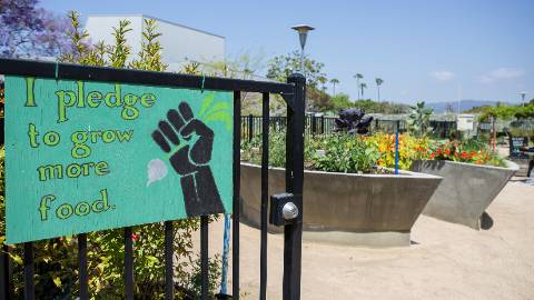 Organic Learning Garden