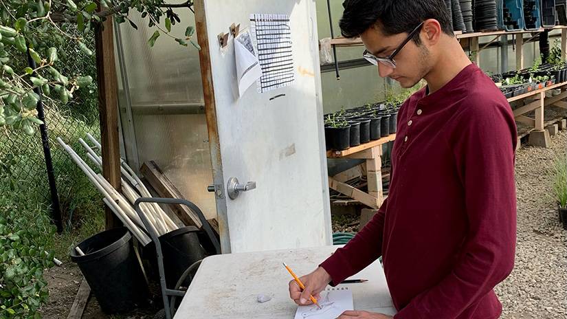 Ahmad drawing birds in the garden.