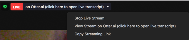 View Stream on Otter.ai Live