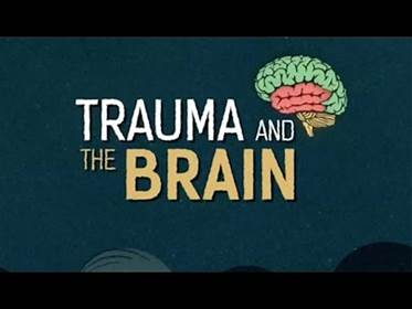 Trauma and the Brain